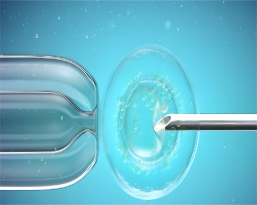 天津代怀试管供卵医院,安顺第三代试管婴儿天津