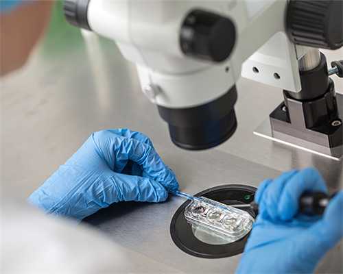 探秘试管婴儿诞生之旅：辅助生殖技术、费用与成功率全解析