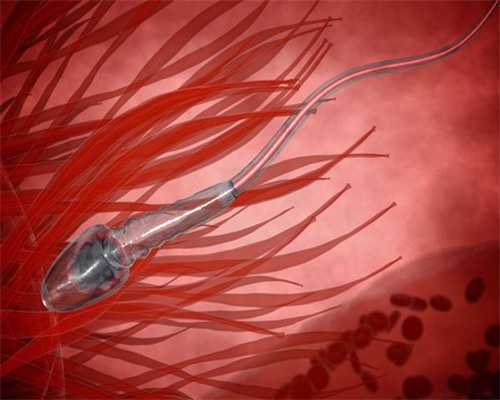 天津爱维医院 试管婴儿助孕天津爱维医院