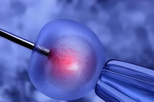 天津正规人工生殖代孕私人服务,安顺第三代试管婴儿天津