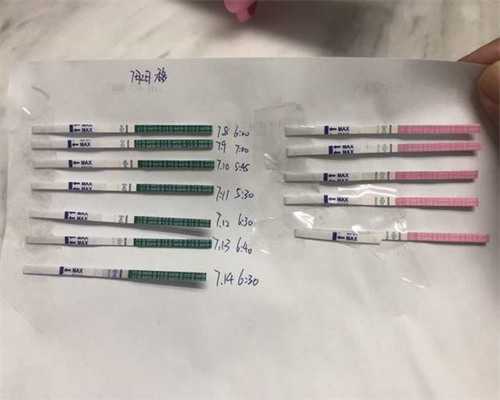 三代供卵试管：助孕成功率、周期与高龄生育解析