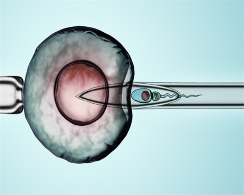 天津试管助孕指南：供卵试管移植后护理要点与2026辅助生殖医院排名