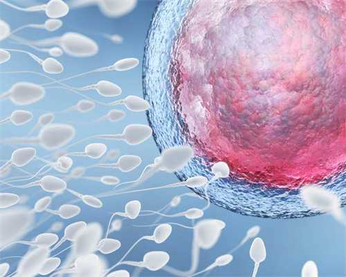 试管总费用_供卵试管经历,上海哪家试管医院比较好上海试管指南