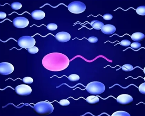 探秘辅助生殖：精子库、供卵与试管助孕流程详解