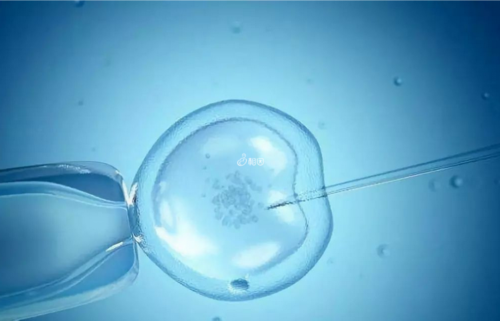 天津第三代试管婴儿：实现生儿子梦想，费用、风险与助孕指南