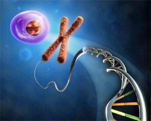 辅助生殖优选：私立试管医院实力解析与费用指南