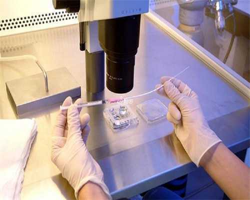 助孕指南：优选试管婴儿机构，代怀费用与流程深度解析