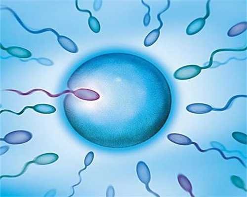 天津供卵试管助孕：费用明细、医院选择与代怀流程一站式解读