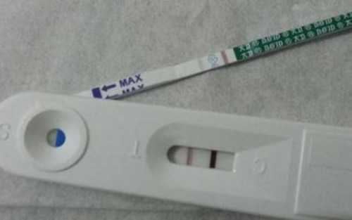 天津正规试管助孕试管公司(天津试管婴儿机构)