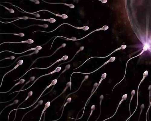 供卵试管助孕：权威医院名单与成功率解析