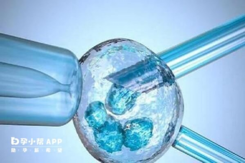 天津代怀公司排名,天津做试管婴儿可以做双胞胎吗_正规助孕中介