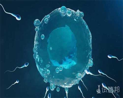 探索生育可能：子宫切除后试管助孕及专业辅助生殖方案解析