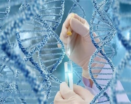 天津试管助孕优选：辅助生殖医院专业指南与代怀服务解析