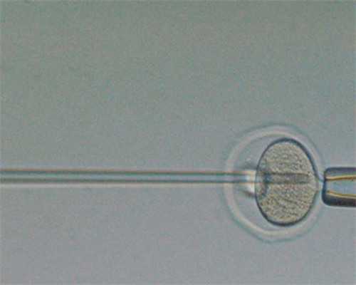 天津试管助孕：精选医院、代怀流程与成功率提升指南