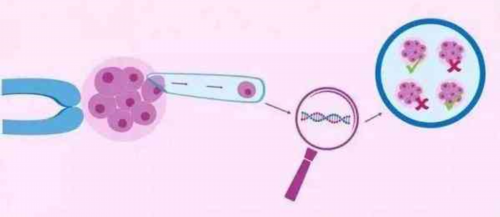 天津助孕机构权威排名：辅助生殖服务全面解析