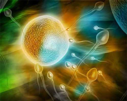 供卵试管助孕指南：优选机构、成功率与费用策略