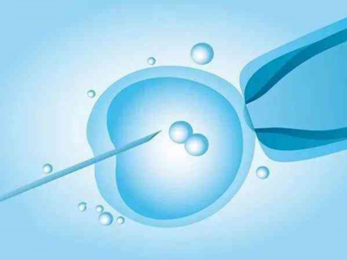 辅助生殖：深度解析供卵试管失败因素与高龄助孕成功策略