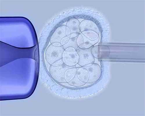 天津试管助孕：供卵试管费用、代怀男孩与辅助生殖深度解析