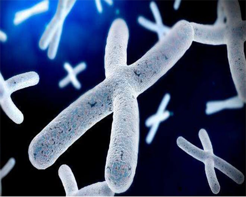 广州试管二代三代费用解析：辅助生殖、高龄助孕与泰国捐卵选择