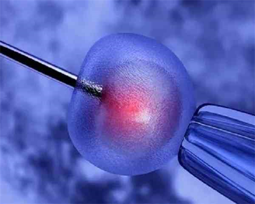 天津试管助孕指南：深度解析三代试管PGS与PGD技术差异及费用，助您优生优育