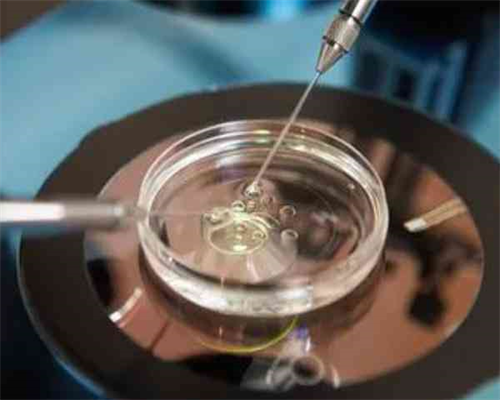 天津供卵助孕指南：医院排名、费用与辅助生殖服务（含代怀代生）