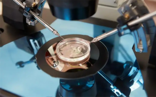 天津代生宝宝,安顺第三代试管婴儿天津