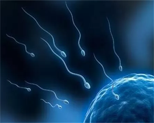 天津私人代生机构,2026
年天津供卵试管多少钱