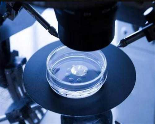 天津试管助孕成功率：专业医疗与生育希望深度解析