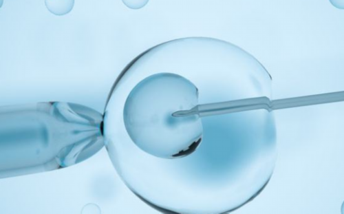 辅助生殖费用揭秘：代生、供卵助孕生宝宝价格一览