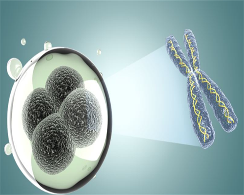 天津供卵试管助孕：探寻高成功率医院，解析供卵流程与费用