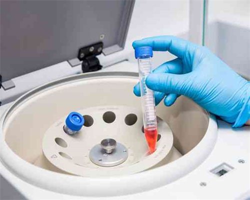 天津助孕选择：试管婴儿流程、供卵与代怀服务深度解析