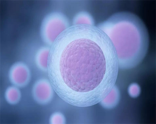 辅助生殖：供卵选择、机构推荐与费用考量