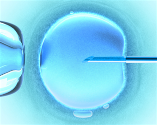 试管婴儿费用全攻略：2026年助孕技术与龙凤胎生育成本深度解析