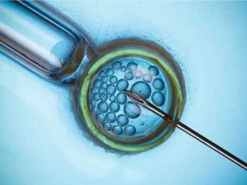 供卵试管论坛_试管供卵服务,赣州试管婴儿供卵，赣州妇保院试管婴儿