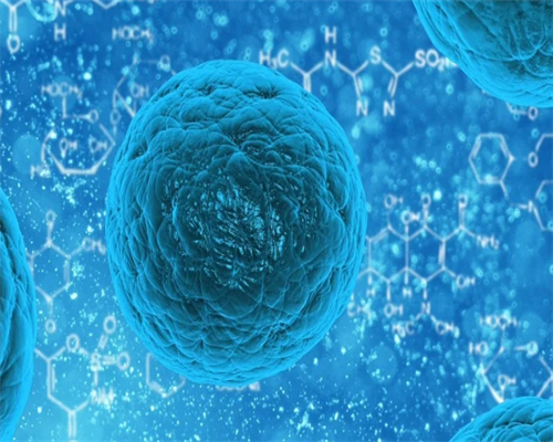 生育之路：试管婴儿助孕、流程及中介选择指南