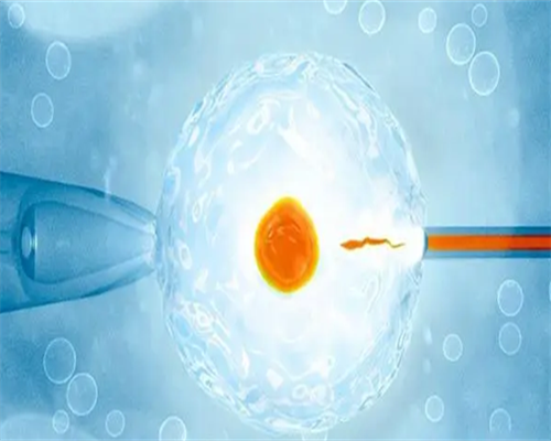 生育梦想之路：辅助生殖与代怀费用深度解读