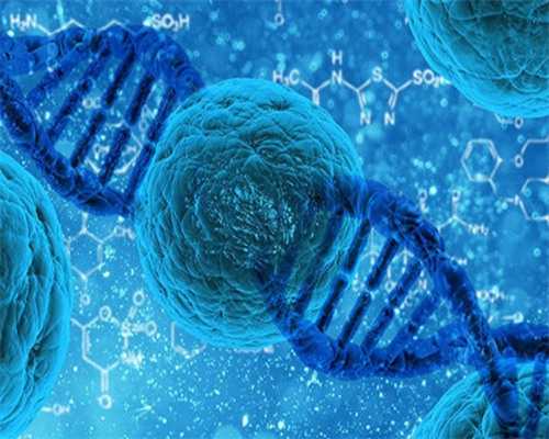 辅助生殖与代怀：备孕常识、费用详解及助孕中介服务全解析