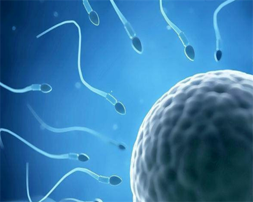 天津助孕试管三代,安顺第三代试管婴儿天津