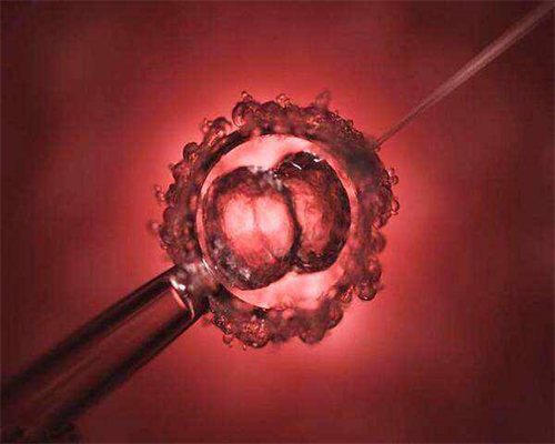 2026年天津供卵试管助孕攻略：解析成功率、费用及正规医院选择，揭秘供卵价格与代生途径