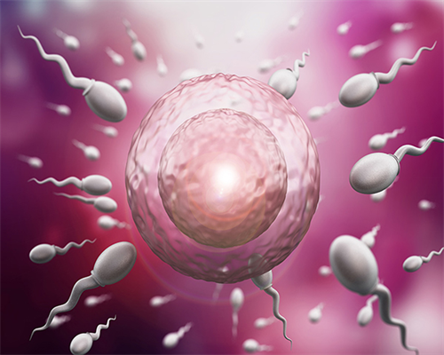 天津代怀中心,天津私立供卵医院哪家好