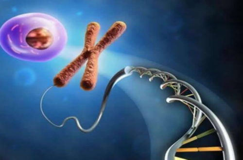 天津失独试管再生费用,天津试管婴儿哪家医院好要多少钱