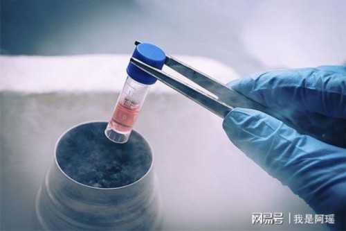 试管供卵_海外供卵试管,供卵试管失败了，广州合法供卵试管中心