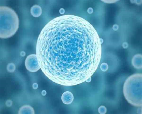 天津试管助孕机构权威指南：优选助孕医院与代怀流程解析