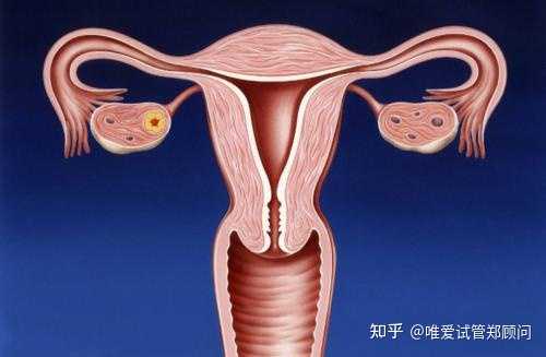 南京同济医院小排畸挂号预约流程,2023南京新生儿医保卡办理流程